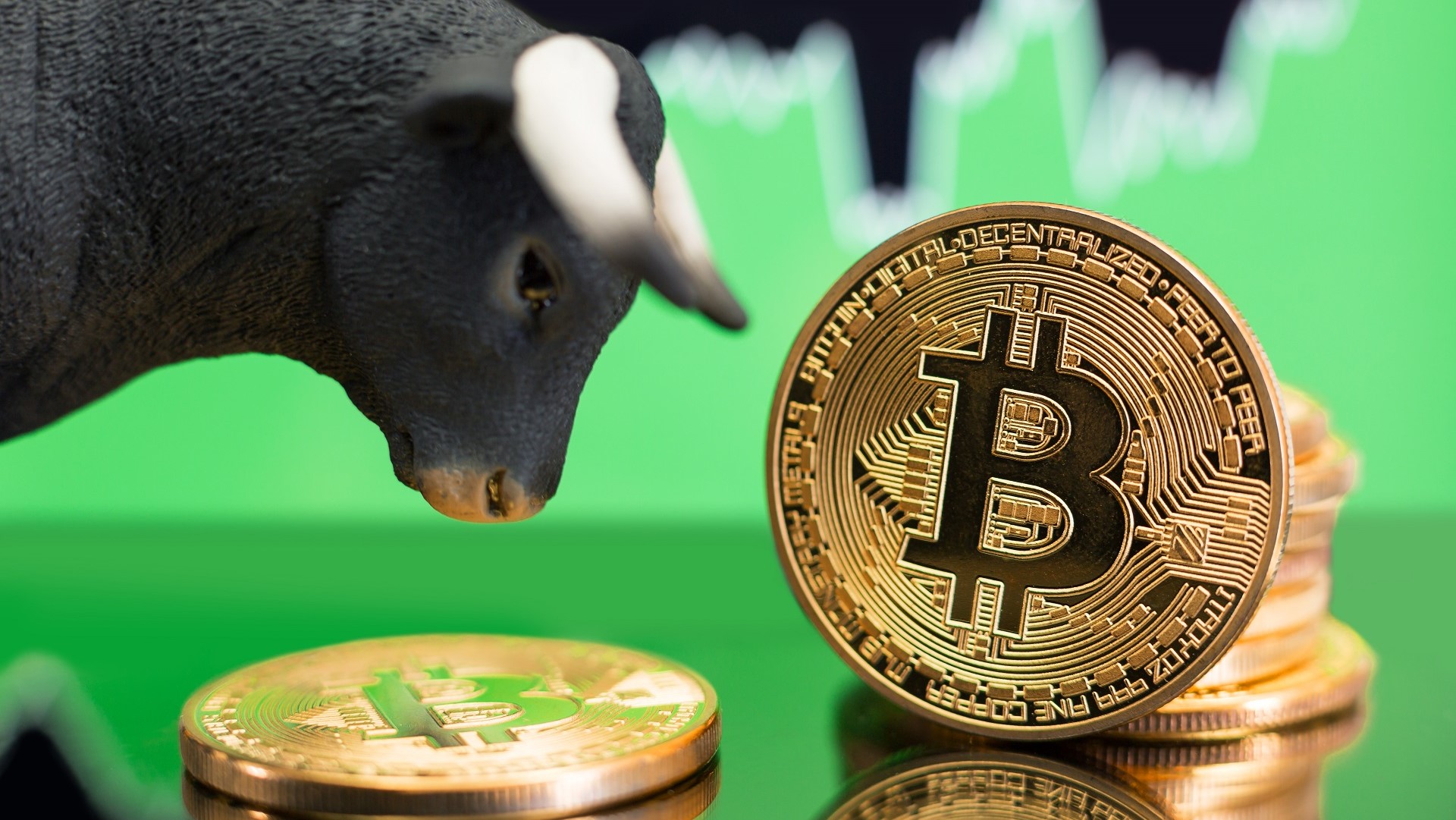 Banking crisis could spark the first ?extended duration Bitcoin bull market